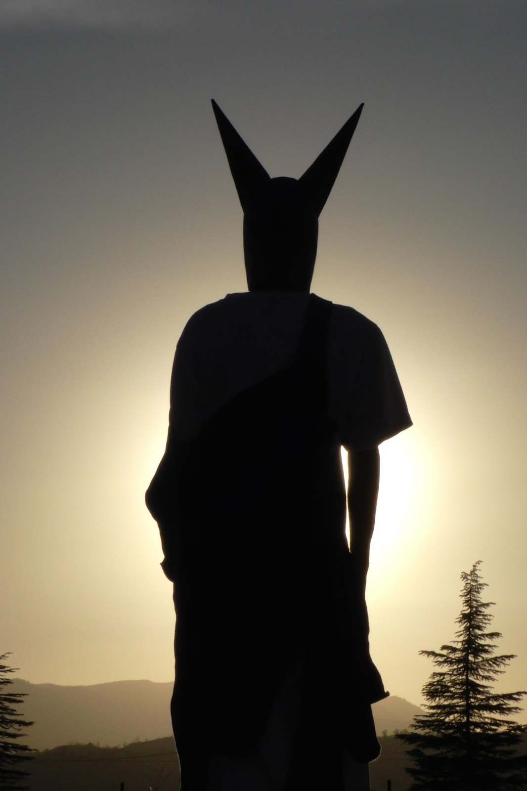 Hood By Air — Trust Exercise, silhouette in a horned hood at sunset