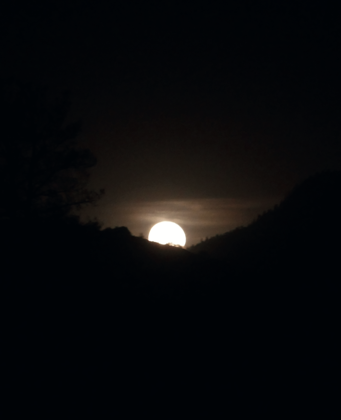 Hood By Air — Trust Exercise, moonrise over the hills, the closing frame