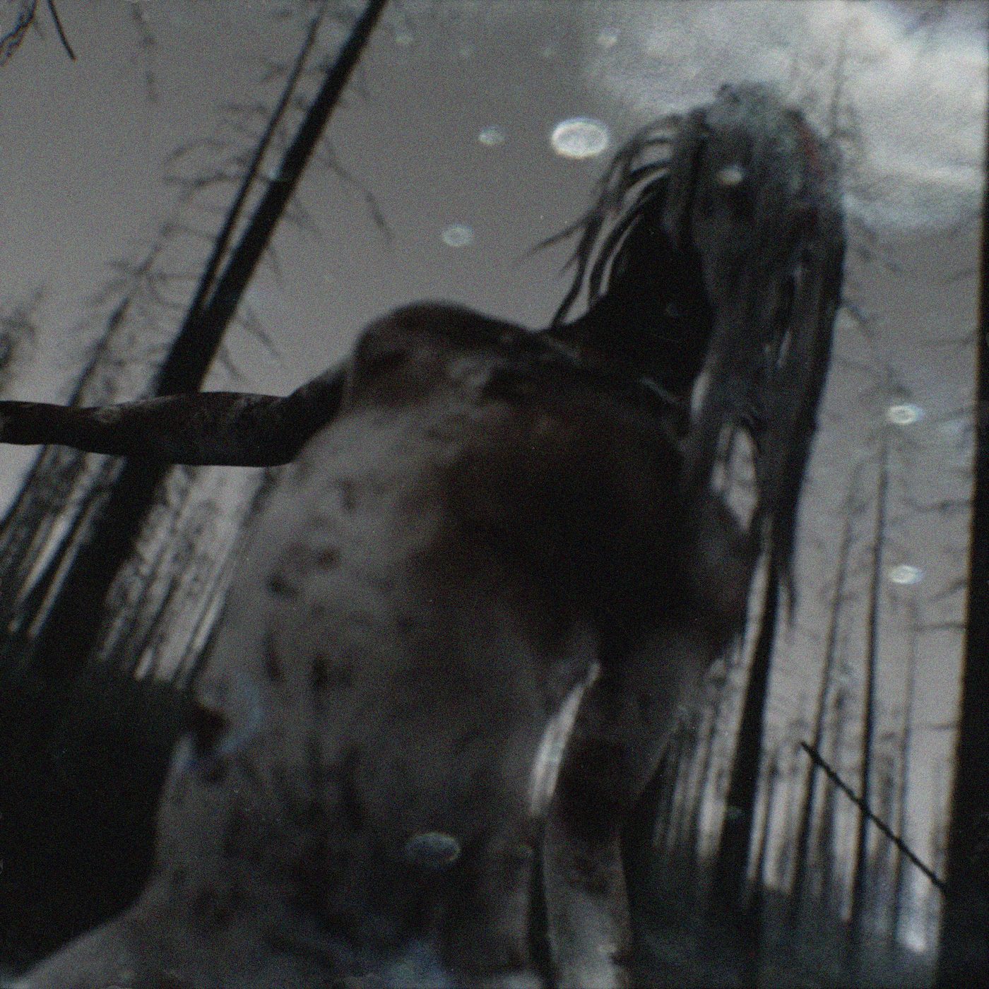 Hood By Air — dark render, the creature in the forest