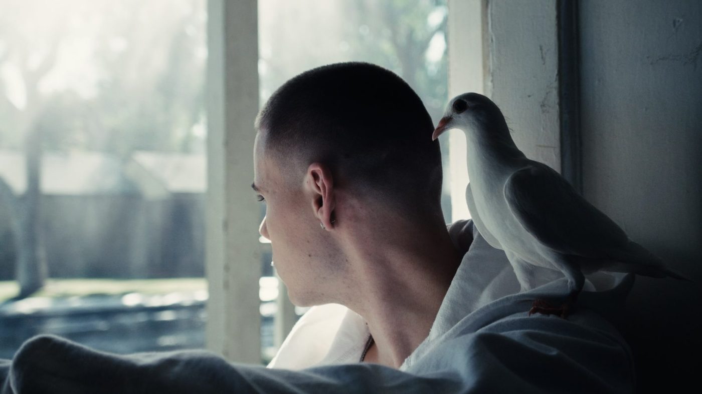 The Kid Laroi — Sleep, with a seagull on his shoulder