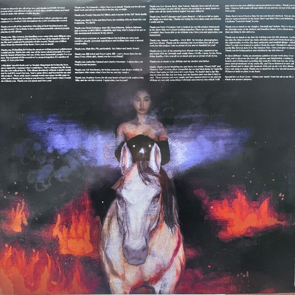 Noah Cyrus — The Hardest Part vinyl packaging: US inner sleeve — horse and flames painting