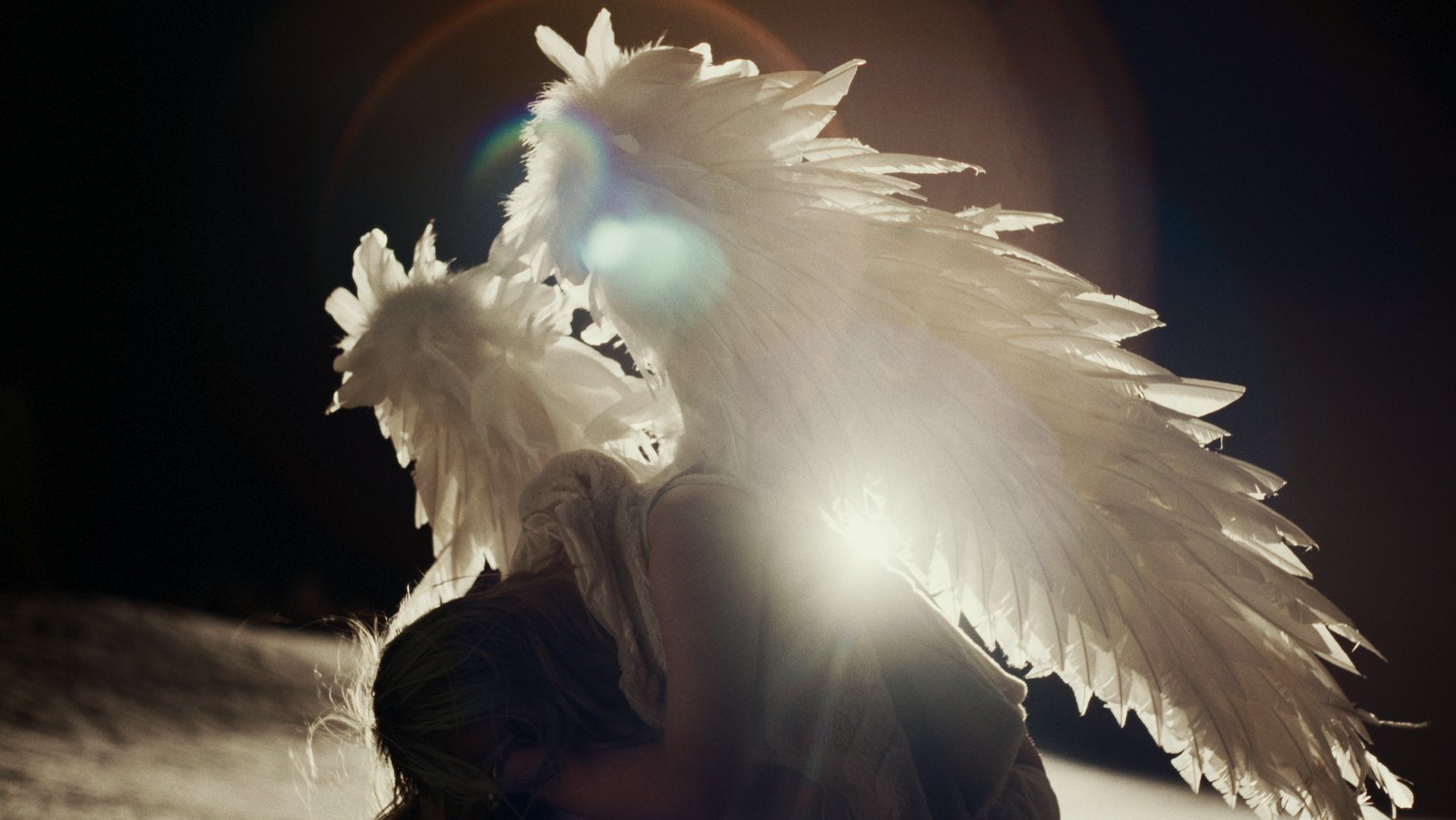 Wisp — Pandora, backlit wings film frame