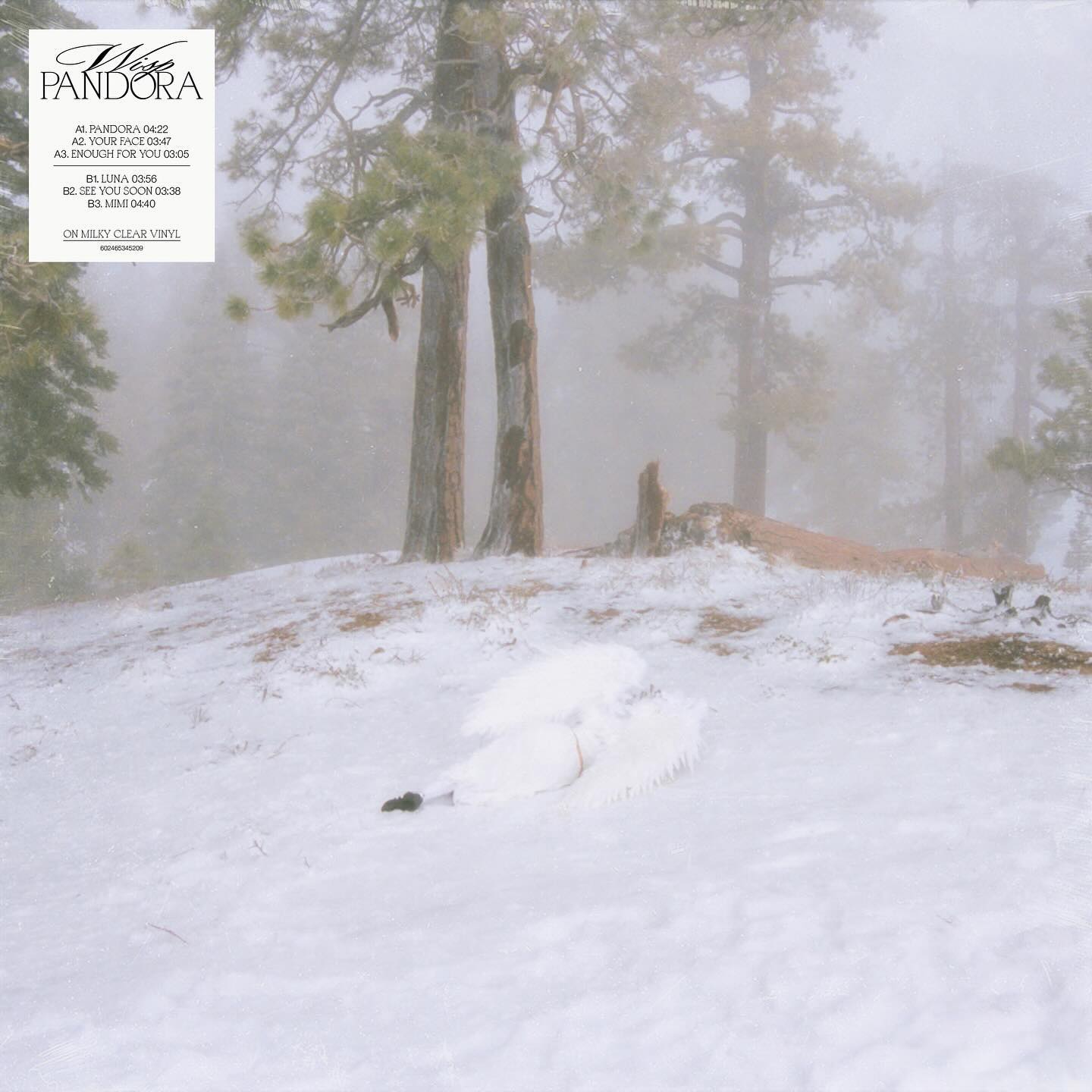 Wisp — Pandora vinyl sleeve in the snow