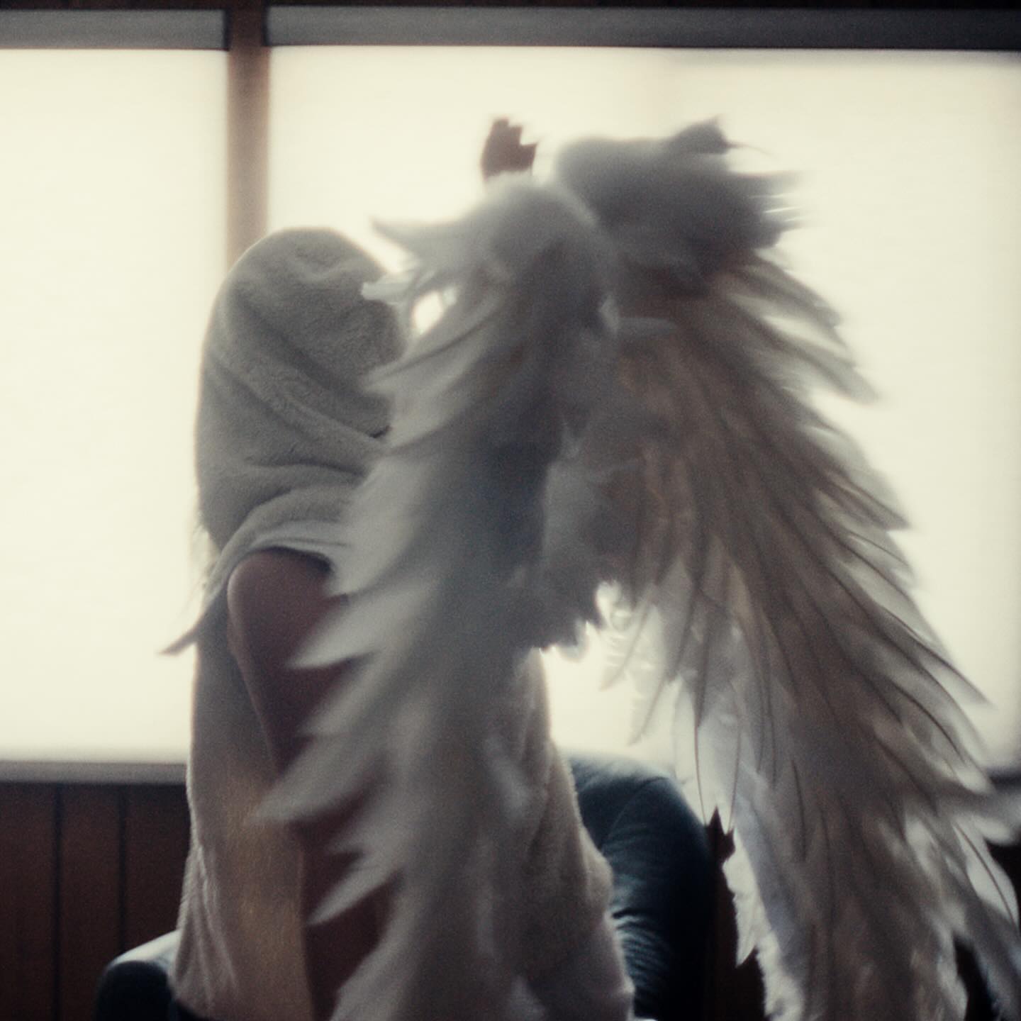 Wisp — Pandora, winged figure from behind indoors
