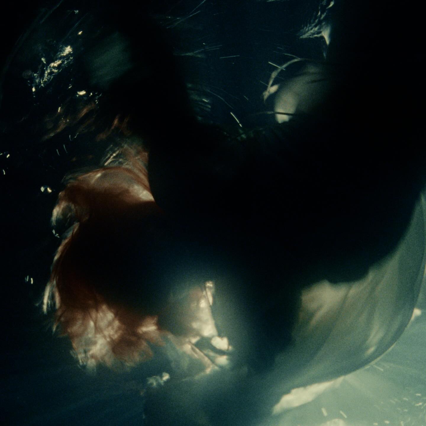 Wisp — Your Face, underwater frame
