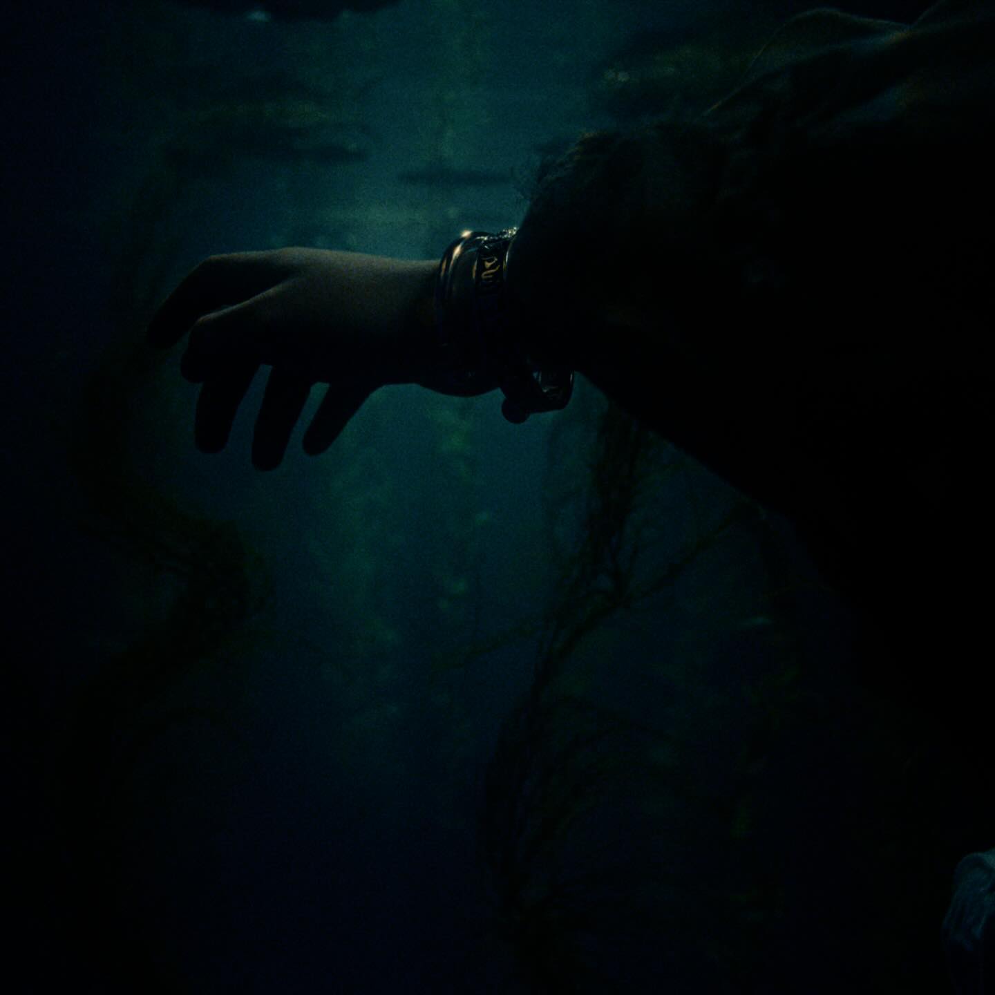Wisp — Your Face, arm reaching underwater